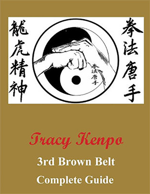 Tracy Kenpo Karate Complete Guide to 3rd Brown Belt